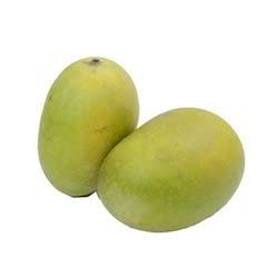 Gurveplantationi® - Live Sweet Mango Fruit Plant (Langra Variety Mango Plant, Green) (B09X9B5M24) Amazon Price History, Amazon Price Tracker