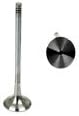 TRW 11341739821 Exhaust Valve
