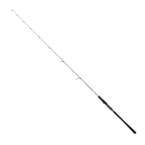 DAIWA - ◎◎DAIWA SALTIGA ソルティガ C81XHS・J 01480176 ◎◎DAIWA SALTIGA ソルティガ C81XHS・J 01480176（ダイワ