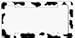 Moo Cow License Plate Frame (Made of Plastic)