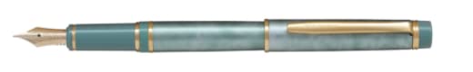 Stylo-plume Pilot FGRC-2MR-MAG-F marbre vert pour stopper les ratures d'encre