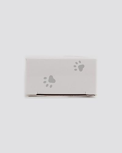 Taglory TL-XQ047-PU-M Personalized Dog Collars thumb #10