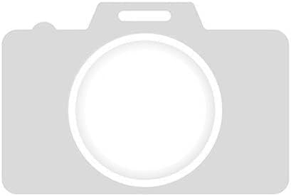 Espejo de puerta de repuesto OE 2011-2012 Ford Pickup_F450_SUPERDUTY (número de pieza FO1321493)