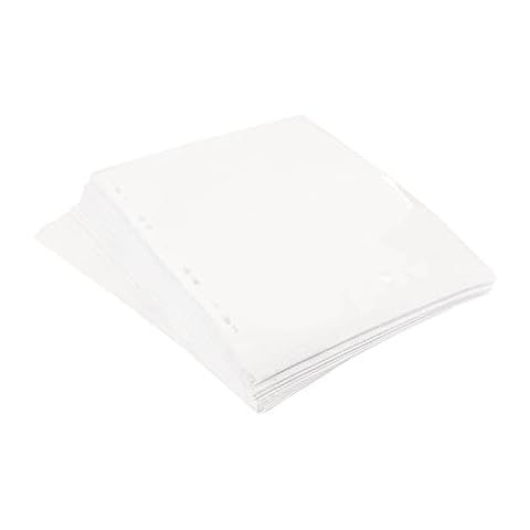 BigDean 100er Set Foto-Hüllen A4-31 x 24,1 cm für Fotos, Postkarten, Sammelkarten - 15 x 11 cm pro Tasche - Für Ordner - Transparent mit Trennwand - Fotobuch-Seite 11 Lochungen - Made in Germany Cover