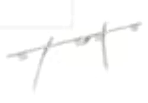 Weather Guard 975102301 Werner