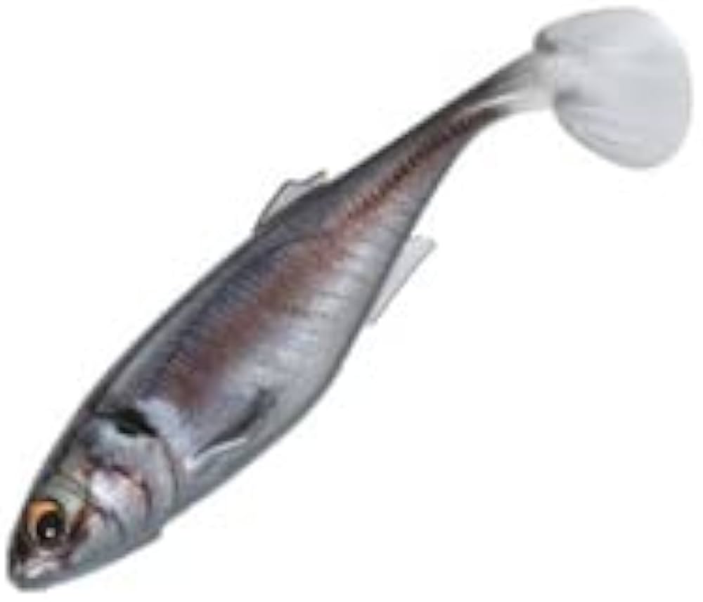 Amazon.co.jp: メジャークラフト シャッドテールワーム スタビ