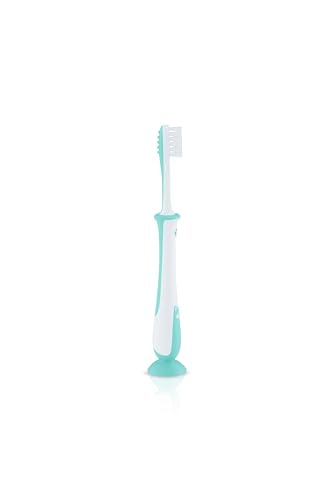 Image of Pigeon Training Toothbrush Lesson 4 Mint | Baby Oral Care Toothbrush