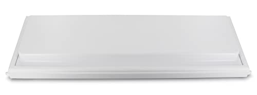 DL-pro Gefrierfachklappe für Bosch Siemens 296700 00296700 Klappe Gefrierfachtür Frosterfachtür Frosterfachklappe Innenraumtür mit Dichtung Griff für Gefrierfach Kühlschrank Gefrierschrank