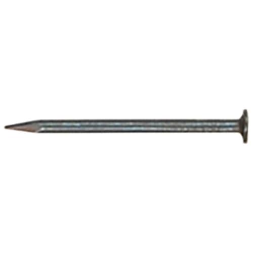 12 in. Hot Galvanized Common Nail 5 lbs