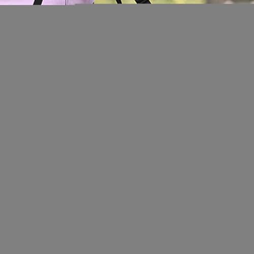 Hunde Tragehilfe - Unterstützung Geschirr Hund - Einstellbares Hebegeschirr Für Unterstützung Und Rehabilitation Geeignet Für Behinderte, Verletzte Oder Ältere