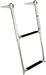 Over Platform Telescoping Ladder (Windline)