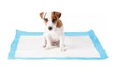 Genérico Empapador para Perros 60x40-240 Unidades