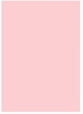 Indigo Color Paper A4 80 GSM Multifuctional Coloured Copier Paper 1 Ream 500 Sheets (Pastel Light Pink) - Image 2