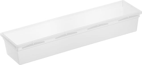 Rotho Basic Schedario Modulare Per Cassetti, Plastica (Pp) Senza Bpa, Trasparente, 30.0 X 8.0 X 5.0 Cm