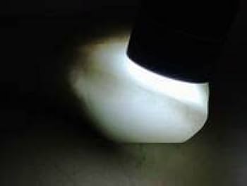 Amazon.co.jp: 高透過・白緑 163g 翡翠 原石 ヒスイ 鉱物 鑑賞石