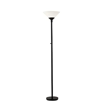 Adesso Home 7500-01 Transitional Two Light Floor Lamp from Aries Collection in Black Finish, 73