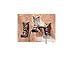 3 Cowboy Boots Western Coat Towel Wall Hooks Home Decor