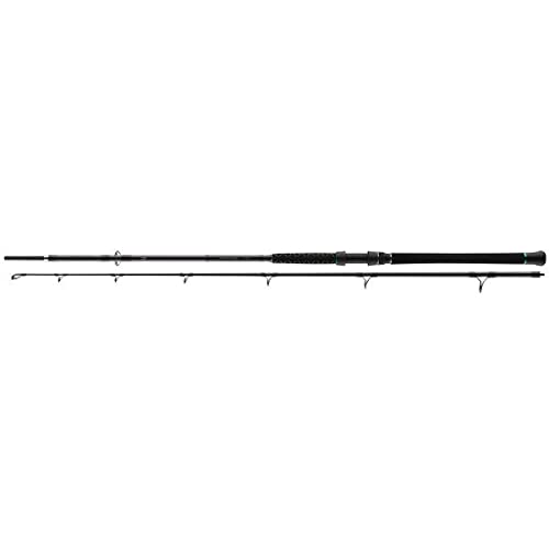 Daiwa Powermesh Siluro - Canne bateau - 2,75 m - 100-400 g