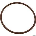 Waterway Inline Chlorinator Lid O-ring 805-0348V by Advantage