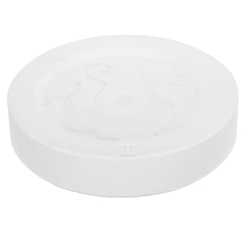 Moule plâtre pour poterie motif tigre blanc fini les reliefs ratés