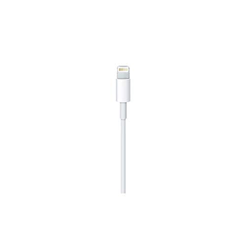 Image of Apple Lightning to USB Cable (1 m)