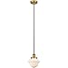 Innovations Lighting 616-1PH-BB-G531 Edison Oxford Mini Pendant Brushed Brass