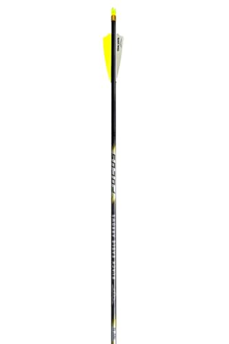 Black Eagle Focus Fletched Arrows