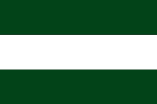 Drapeau Arbeláez Cundinamarca grand format résistant aux intempéries - 2