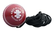 Gray-Nicolls Batting Master PVC Ball (Hanging Ball)-picture-27