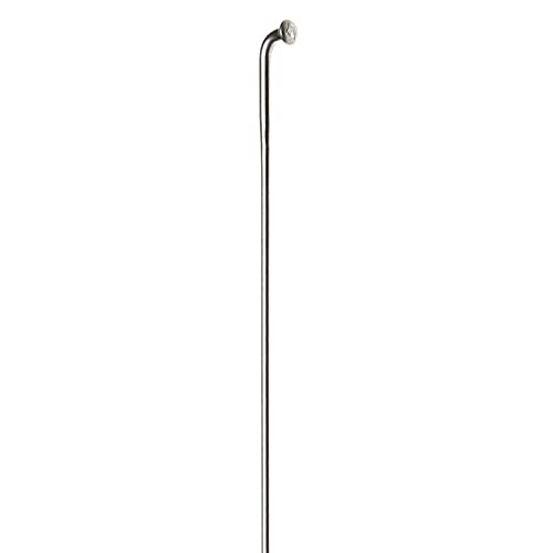 DT Swiss SKRB300H rayon 300 mm pour réparer une roue voilée et supprimer les vibrations
