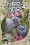 Tolles Buch über die Möglichkeiten und die Vielfalt Dinge mit Marmor Mosaik zu verschönern und zu etwas ganz besonderem zu machen.
