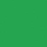 Rosco Roscolux Moss Green, 20x24