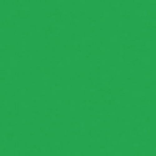 Rosco Roscolux Moss Green, 20x24