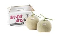 おいわけメロン 糖度16度以上 1.6kg以上×2玉入