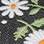 Daisies