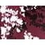 Burgundy Graphic Floral