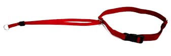 Kennel F1 - Nylon Head Collar (B09VGJKNG5) Amazon Price History, Amazon Price Tracker