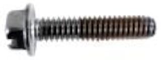 Pentair/Pacfab Challenger Replacement Screw, Impeller locking 355389