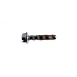 Pentair/Pacfab Challenger Replacement Screw, Impeller locking 355389