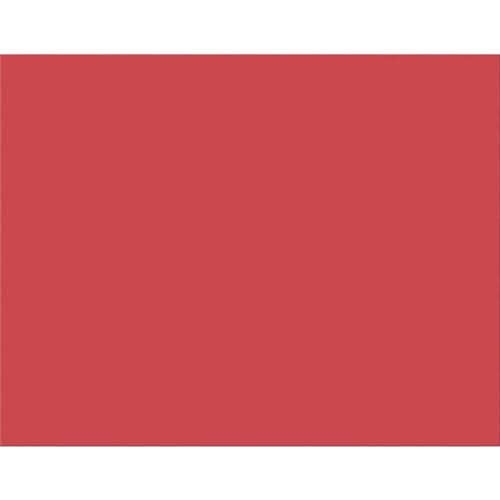 Colored Four-Ply Poster Board, 28 x 22, Red, 25 per Carton
