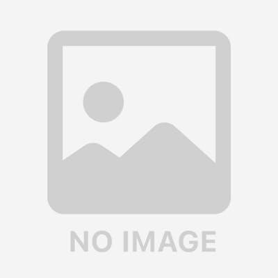 REX ���b�L�X �`�F�[�U �����؏� AC�EHSS 25-50A �X�e�����X�ǎd�l �����E�K�X�Ǘp HSS 1-2 16E030