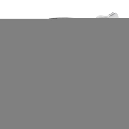 XUQEAYWD Underklänning För Kvinnor - Nebulizzatore Ricaricabile Da 2 Litri,Spruzzatore di Schiuma Elettrico per Auto,Per Casa Cucina Interno Esterno Giardino Patio Prato Pulizia e