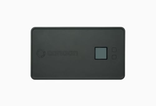 Amazon | Canaan Avalon Nano 3 BTC マイナー ビットコインマイナー