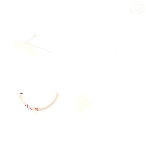 JUNZAN Cartoon Colorful Corals Kids Girls Hoodie Sweatshirt Long Sleeve Hoodie for Boys Sports 4T3