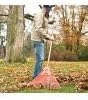 A.M. Leonard Poly Lawn Rake with 54-Inch American Ash Handle (30-Inch, 30-Tine Head)