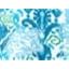 Aqua Animal Ikat