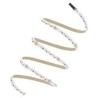 Tira LED RGBW 5m - Cinta luminosa/manguera/tira 24V RGBW