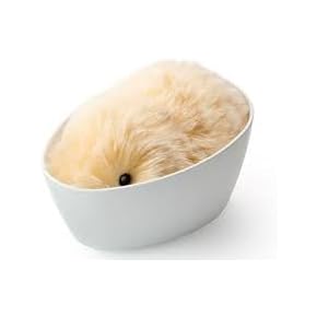 Amazon.co.jp: インタラクティブぬいぐるみ: おもちゃ