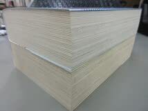 Amazon.co.jp: 笠倉出版社 真樹村正 永井豪 ジャンジャジャ～ン