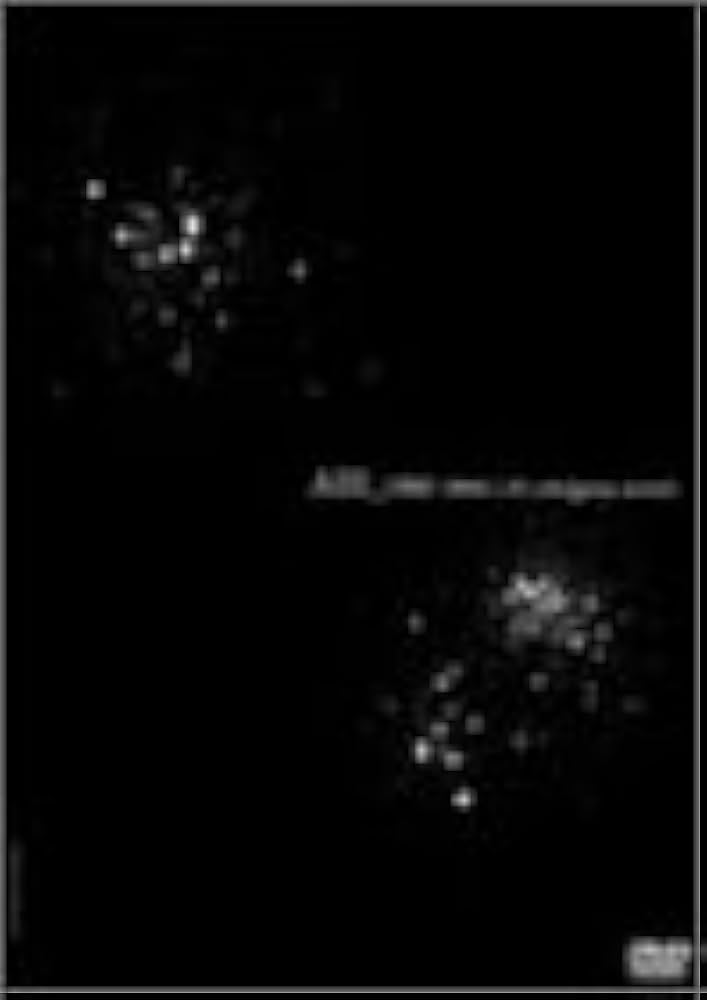 ★AIR_one (2004.1.10 yokoh[DVD]★送料無料★2128 NIKE(ナイキ) AIR JORDAN 1 HIGH 2001ADDITION 136060-101 エア